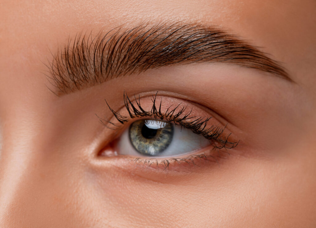 The make-up artist does Long-lasting styling of the eyebrows and will color the eyebrows. Eyebrow lamination. Professional make-up and face care.